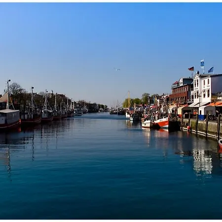 아파트 Haus Auguste, Kormoran