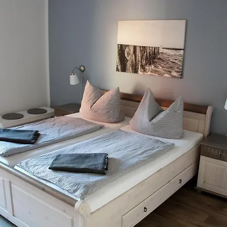 Haus Auguste, Kormoran *